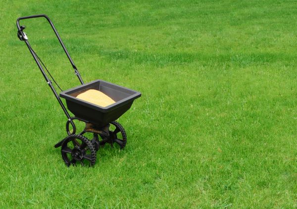 Gainesville Lawn Treatment